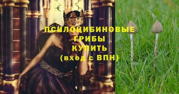 кокаин Алексеевка