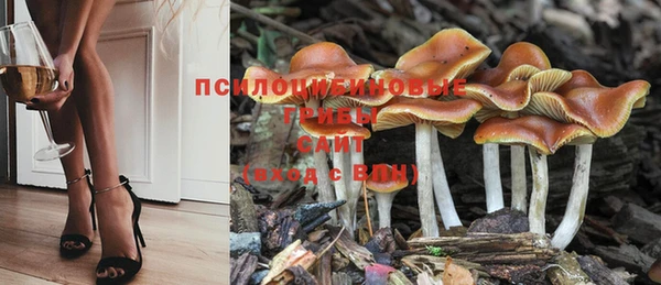 кокаин премиум Алексин