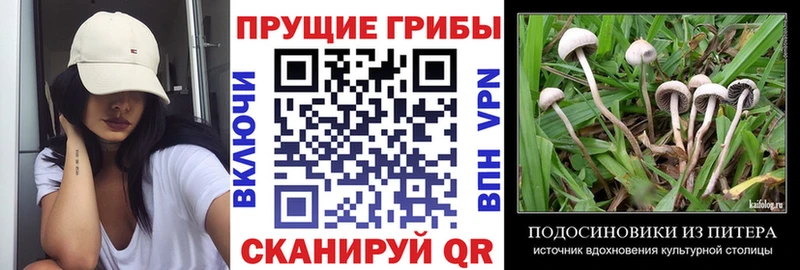 цены наркотик OMG зеркало Галлюциногенные грибы прущие грибы Каменск-Уральский